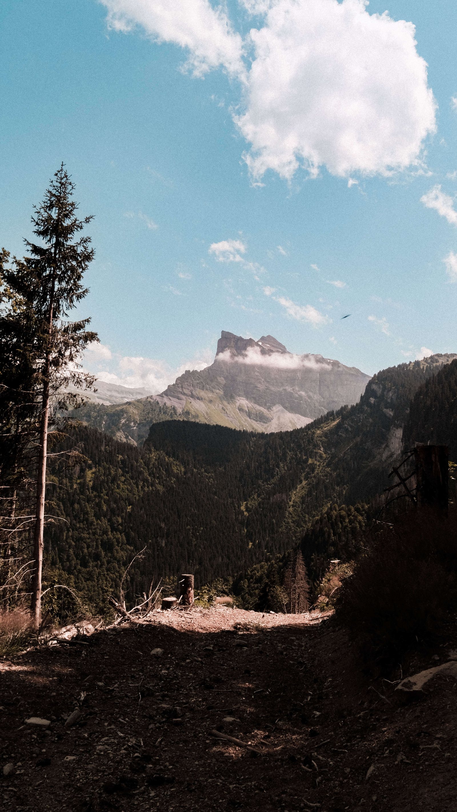 Montagne 6